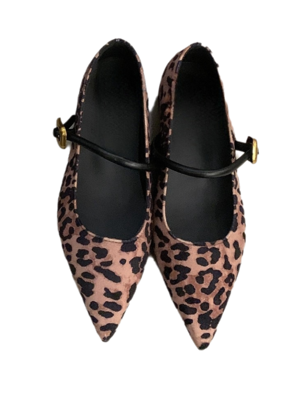 Solvivra Sole Amour Pointed Flats