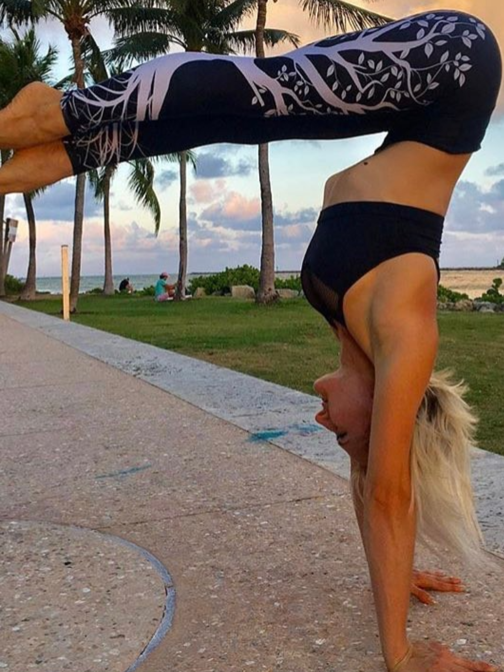 Solvivra Black & White Leggings