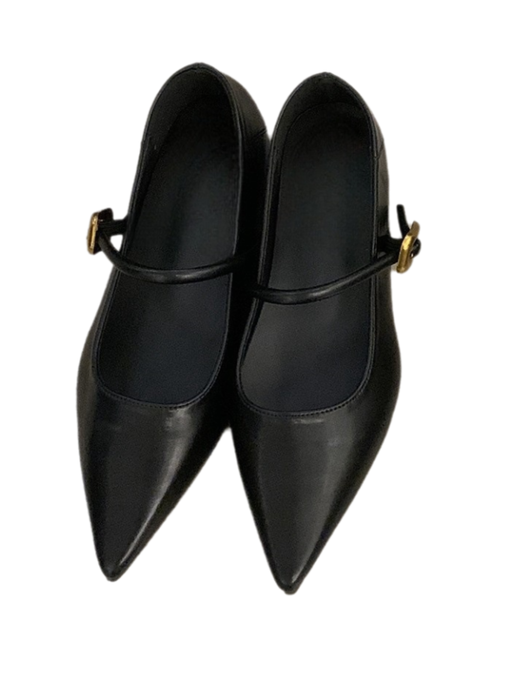 Solvivra Sole Amour Pointed Flats