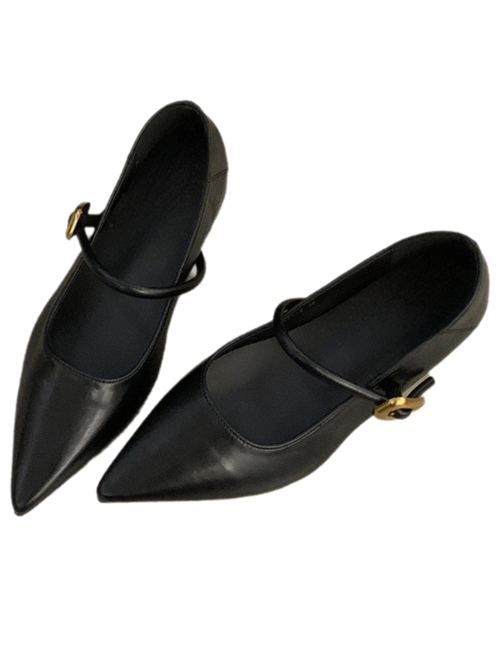 Solvivra Sole Amour Pointed Flats